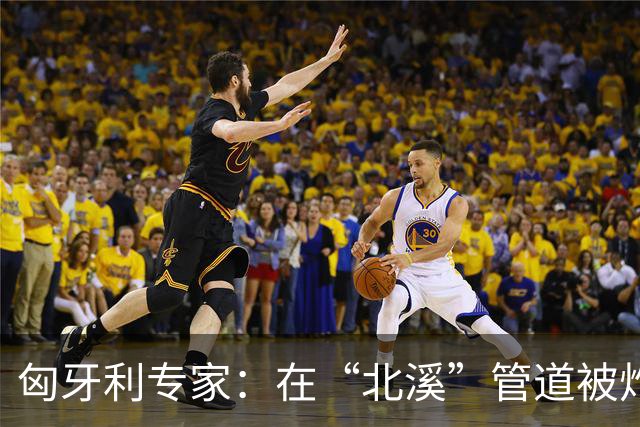 匈牙利专家：在“北溪”管道被炸毁后，德国对乌的支持是不正常的